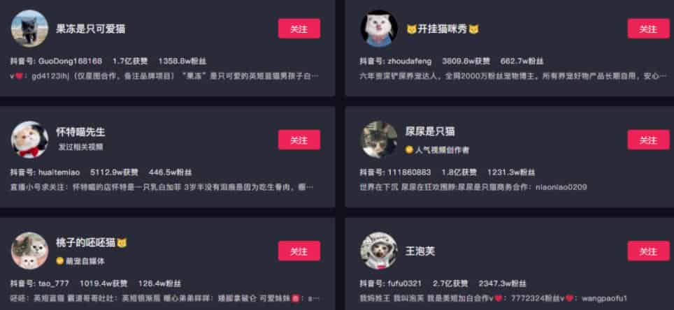 副业拍猫视频一公一母，日赚上万，人人可操作-副业之路