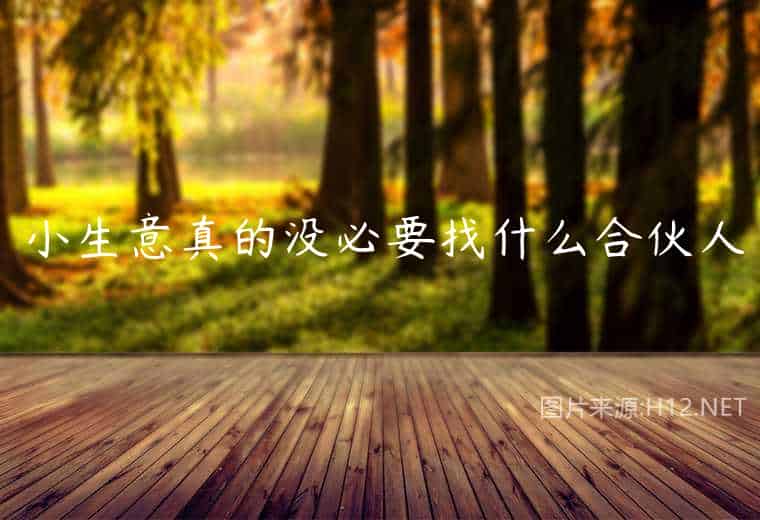 小生意真的没必要找什么合伙人