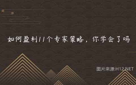 如何盈利11个专家策略，你学会了吗
