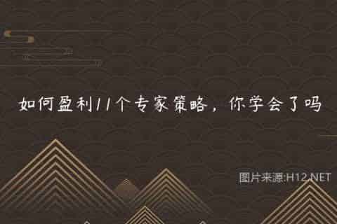 如何盈利11个专家策略，你学会了吗