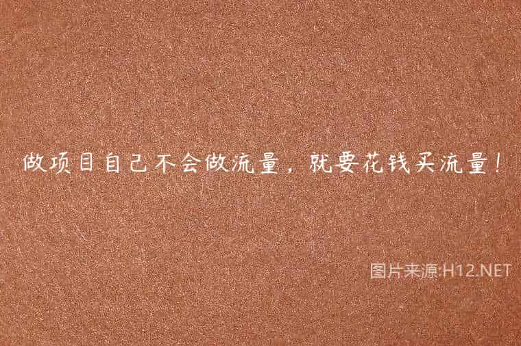 做项目自己不会做流量,就要花钱买流量! 做项目自己不会做流量,就要花钱买流量!