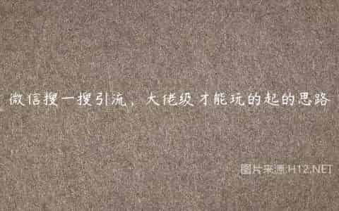 微信搜一搜引流，大佬级才能玩的起的思路