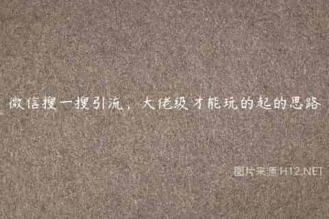 微信搜一搜引流，大佬级才能玩的起的思路