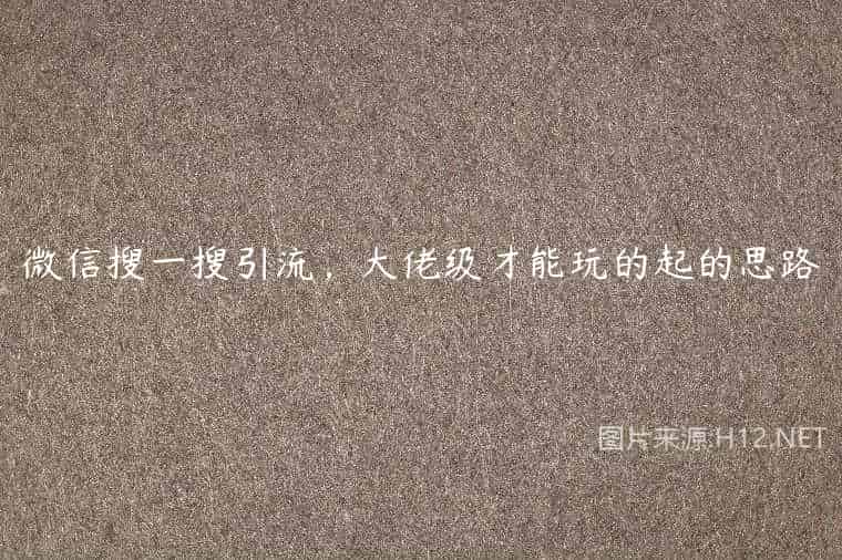 微信搜一搜引流，大佬级才能玩的起的思路