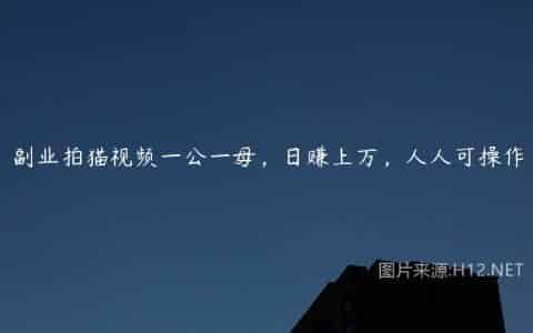 副业拍猫视频一公一母，日赚上万，人人可操作