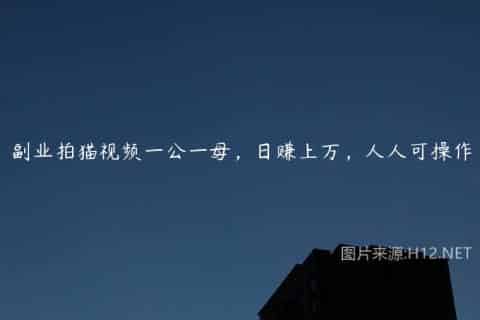 副业拍猫视频一公一母，日赚上万，人人可操作