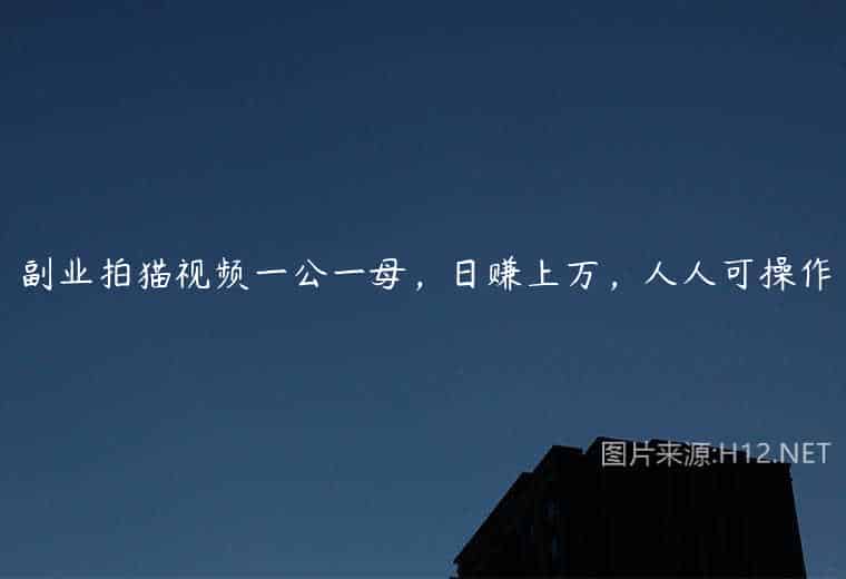 副业拍猫视频一公一母,日赚上万,人人可操作 副业拍猫视频一公一母,日赚上万,人人可操作