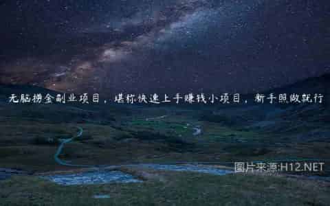 无脑捞金副业项目，堪称快速上手赚钱小项目，新手照做就行