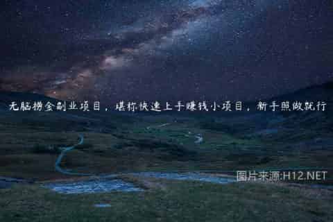 无脑捞金副业项目，堪称快速上手赚钱小项目，新手照做就行
