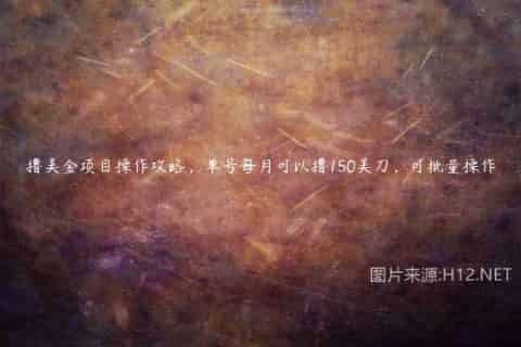 撸美金项目操作攻略，单号每月可以撸150美刀，可批量操作
