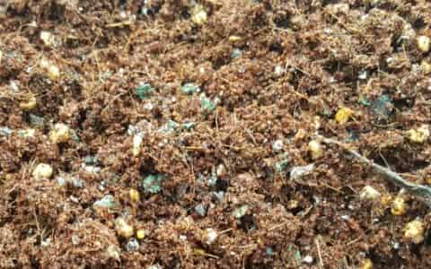 花生壳直接拌土养花可以吗