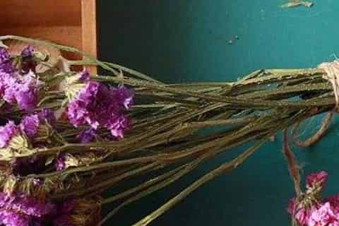 干花是什么