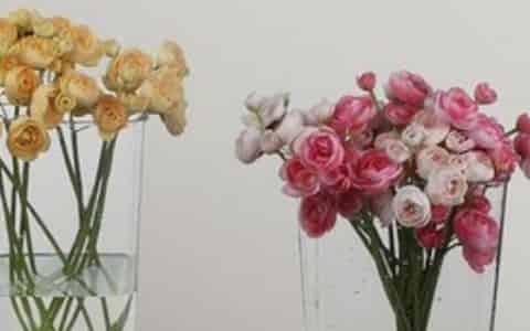 鲜花深水醒花泡一夜可以吗