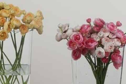 鲜花深水醒花泡一夜可以吗