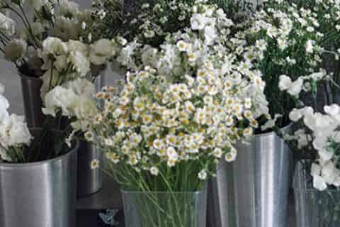 鲜花买回来后如何醒花