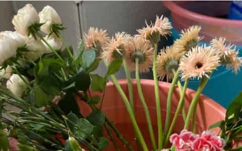 深水醒花可以放一夜吗