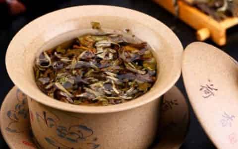 茶叶渣可以倒在花盆里吗
