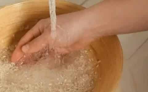 淘米水是氮肥还是磷肥