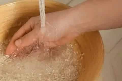 淘米水是氮肥还是磷肥