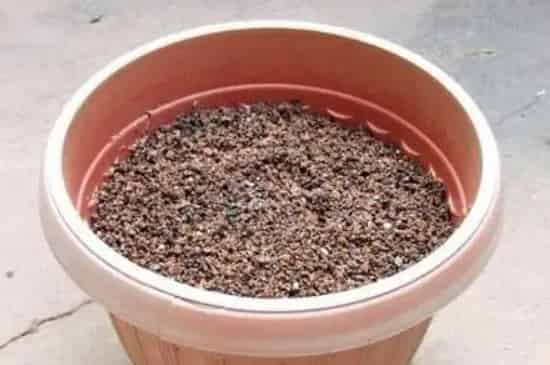 煤渣能直接拌土养花吗