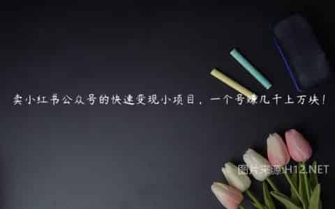 卖小红书公众号的快速变现小项目，一个号赚几千上万块！
