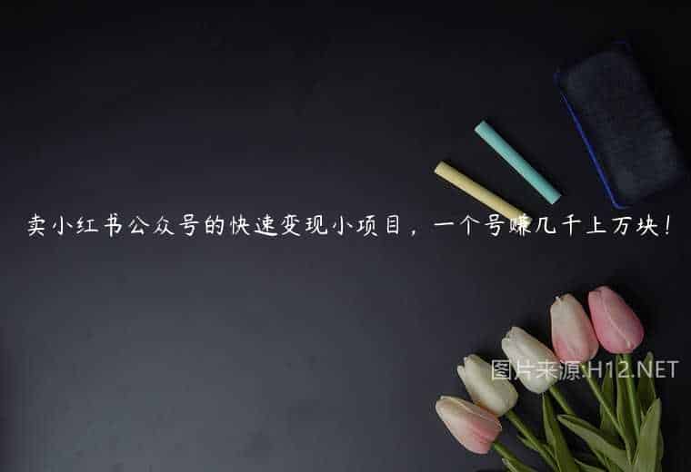 卖小红书公众号的快速变现小项目,一个号赚几千上万块! 卖小红书公众号的快速变现小项目,一个号赚几千上万块!