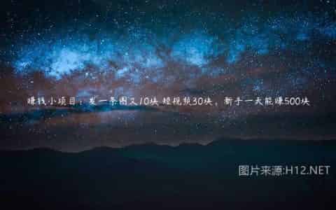 赚钱小项目：发一条图文10块 短视频30块，新手一天能赚500块