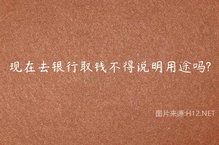 现在去银行取钱不得说明用途吗?