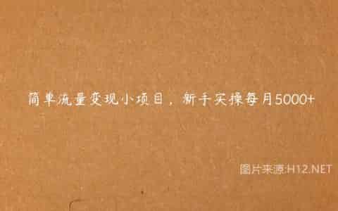 简单流量变现小项目，新手实操每月5000+