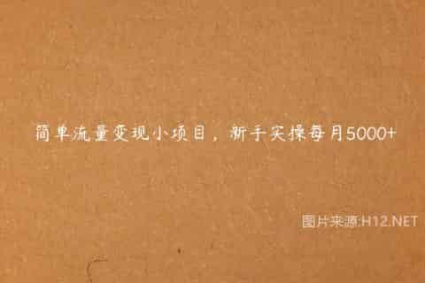 简单流量变现小项目，新手实操每月5000+