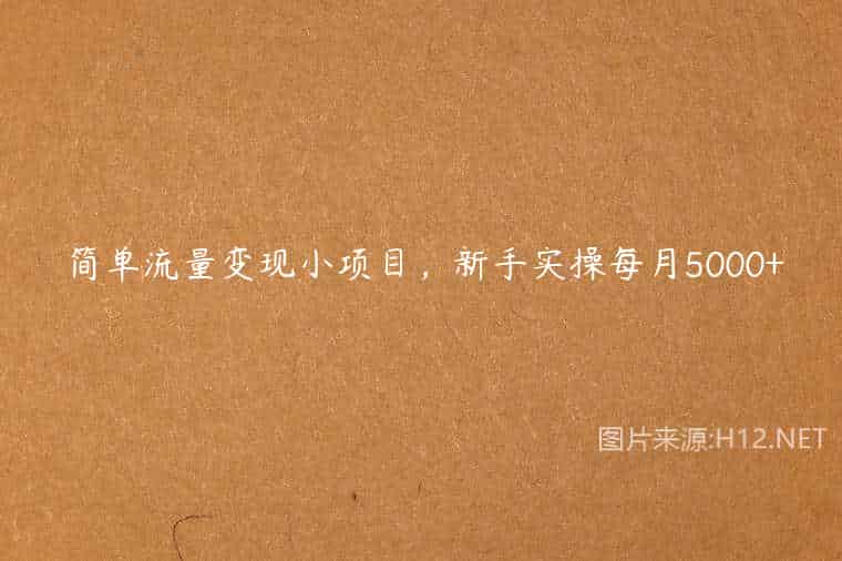 简单流量变现小项目,新手实操每月5000+ 简单流量变现小项目,新手实操每月5000+