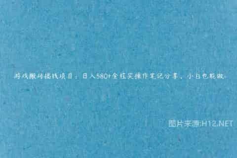 游戏搬砖搞钱项目：日入580+全程实操作笔记分享，小白也能做