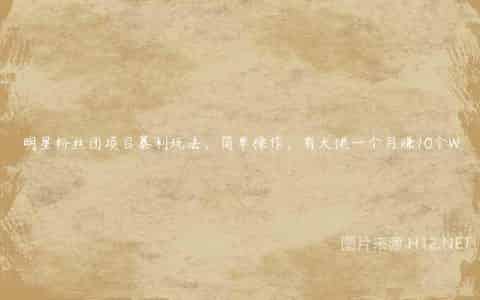 明星粉丝团项目暴利玩法，简单操作，有大佬一个月赚10个W