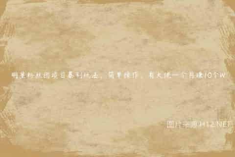 明星粉丝团项目暴利玩法，简单操作，有大佬一个月赚10个W