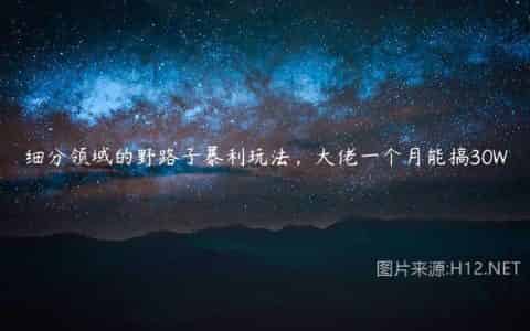 细分领域的野路子暴利玩法，大佬一个月能搞30W