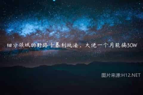 细分领域的野路子暴利玩法，大佬一个月能搞30W
