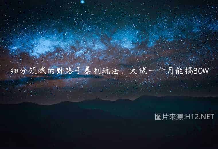 细分领域的野路子暴利玩法,大佬一个月能搞30W 细分领域的野路子暴利玩法,大佬一个月能搞30W