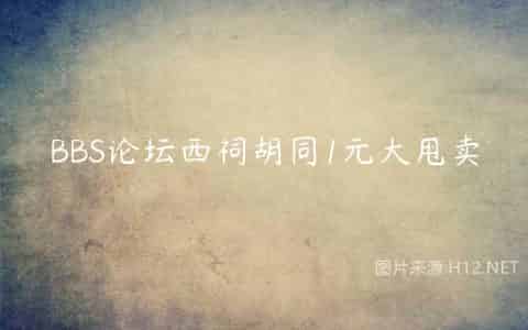 BBS论坛西祠胡同1元大甩卖
