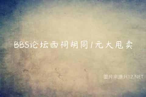 BBS论坛西祠胡同1元大甩卖