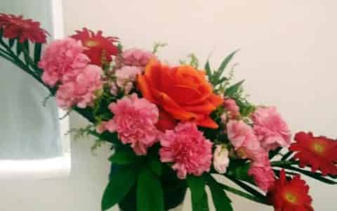 西方插花的基本造型包括
