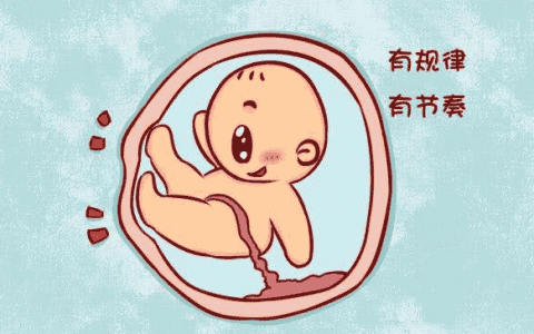 男孩女孩的胎动区别