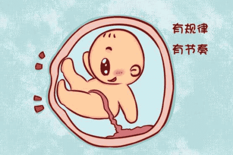 男孩女孩的胎动区别
