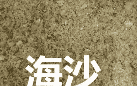 海沙与河沙的区别