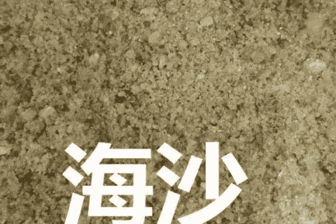 海沙与河沙的区别