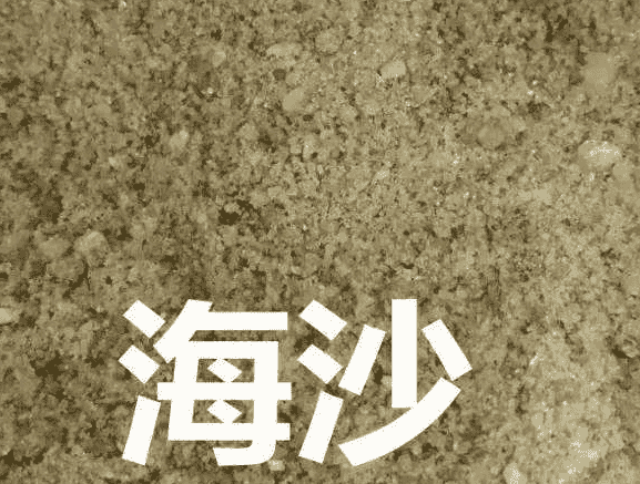 海沙与河沙的区别