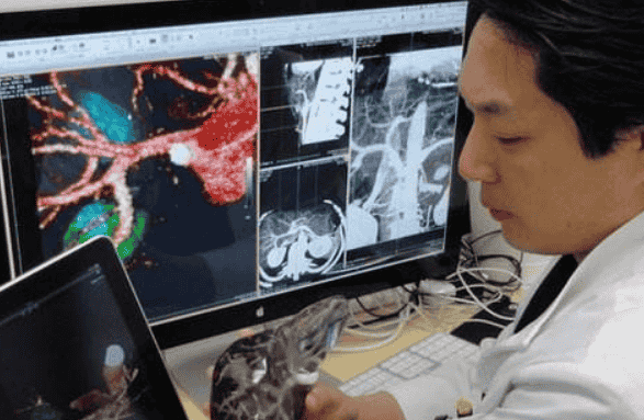 3d打印机怎么用