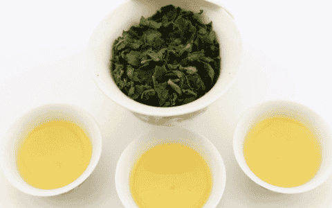 铁观音属于什么茶
