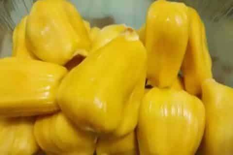 榴莲蜜和菠萝蜜的区别
