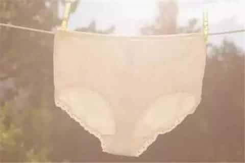 84能洗内裤吗