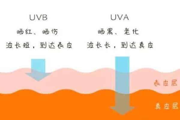 怡思丁防晒多少钱